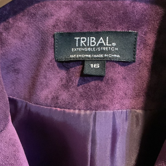 Blazer -Fitted Velour three button w/two usable flap pockets.  Purple in color - Picture 2 of 5